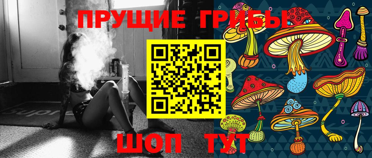 Балтийск  купить наркотики сайты  Вход с VPN  Псилоцибиновые грибы Magic Shrooms 